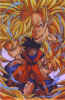 Goku1.jpg (89157 bytes)